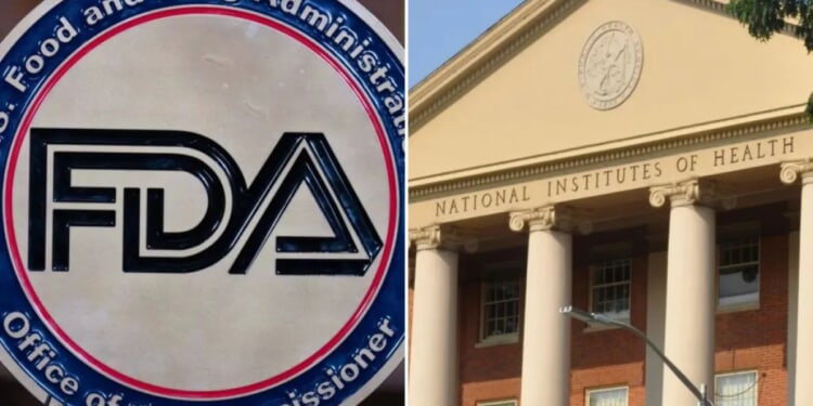 Trump HHS ramps up biotech to phase out animal testing