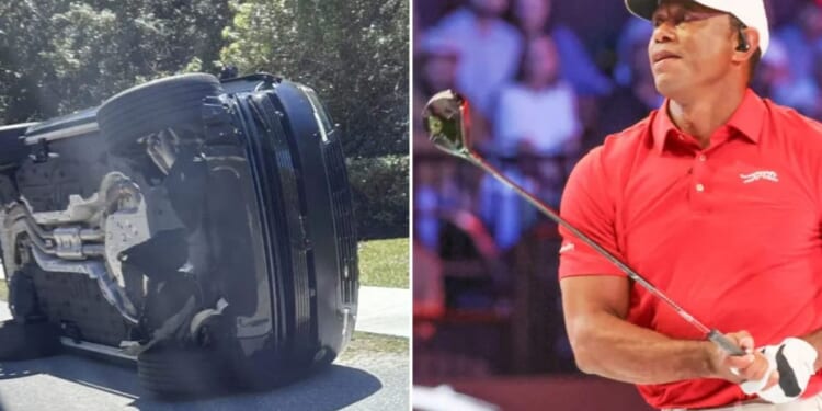 Trump calls Tiger Woods 'amazing man' after golfer arrested on suspicion of DUI