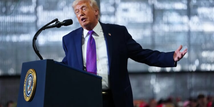 Trump gives Jake Paul preemptive endorsement to run for office