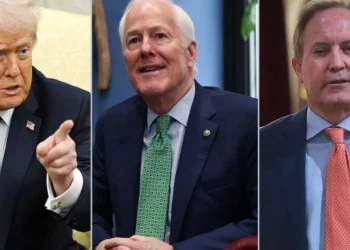 Trump holds off on Texas Senate endorsement to pressure GOP to deliver on 'No. 1 priority' legislation: Report