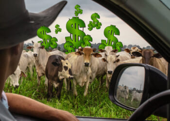 Where’s the Beef? Fresh bite on a vintage motto