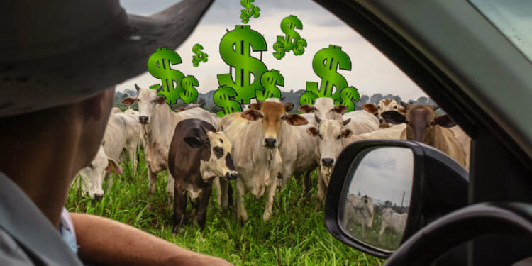 Where’s the Beef? Fresh bite on a vintage motto