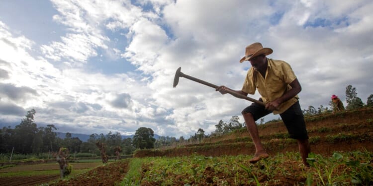 World faces severe food supply crisis if Strait of Hormuz blockade continues