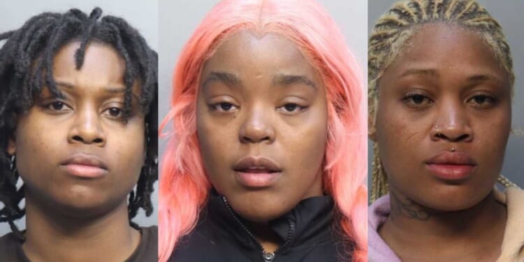 VIDEO: Woman twerks during arrest after she and 2 others allegedly stormed flight over baggage fee: 'Enjoy prison, baby'