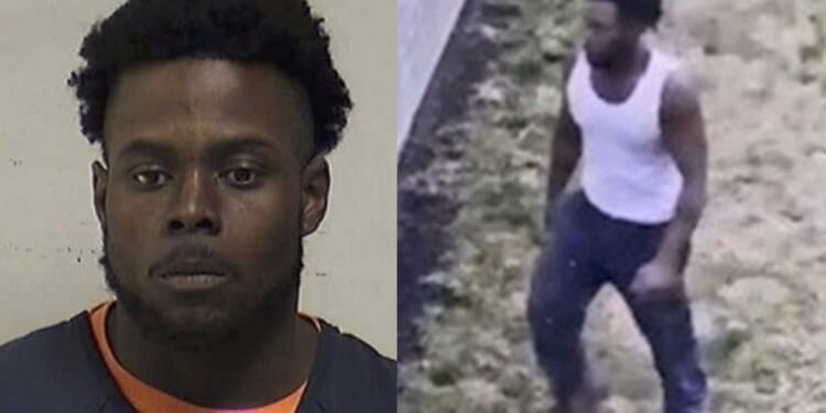 Manhunt under way for man seen dragging a body away before woman was found stabbed to death, police say