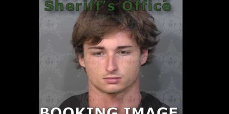 Police find suitcases with human remains surrounded by vultures — and say teen suspect left unbelievable evidence