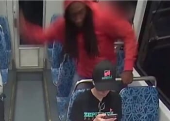 Iryna Zarutska's Murderer Gets a Pass