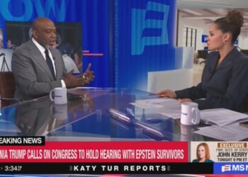 Melania Statement Distracts from Epstein Distraction of Iran War