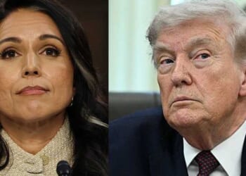 Trump 2019 impeachment exposed: Gabbard provides damning insights into deep-state stitch-up