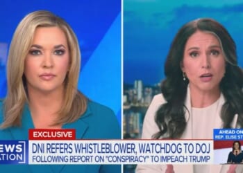 Tulsi Gabbard Docs Reveal Bias, Media Blackout Explained