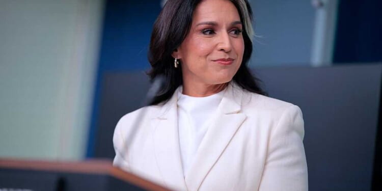 Tulsi Gabbard has BAD NEWS for spook whose complaint launched Trump Ukraine-call impeachment