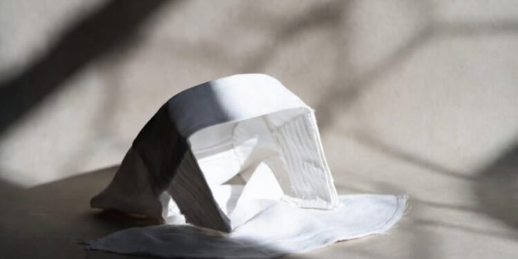 Which Is a Real Catholic Cause? Protecting Nuns or Illegal Aliens?