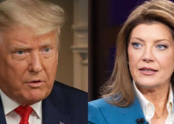 VIDEO: Trump berates interviewer over suspected WHDC shooter: 'You are a disgrace!'