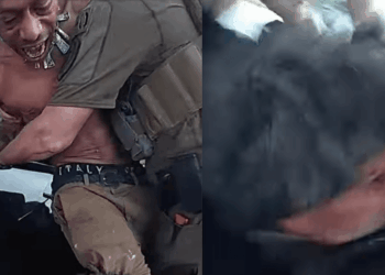 Unhinged man bites police dog while resisting arrest; cops say man became disruptive amid operation he wasn't even part of