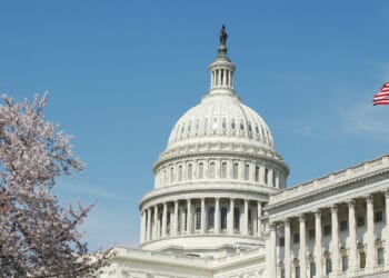 capitol with cherry blossom tree