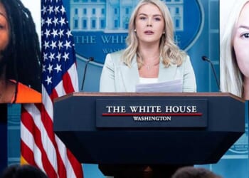 Crucial detail about Iryna Zarutska's suspected murderer may ease online outrage after 'incompetency' ruling