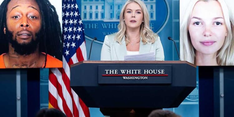 Crucial detail about Iryna Zarutska's suspected murderer may ease online outrage after 'incompetency' ruling