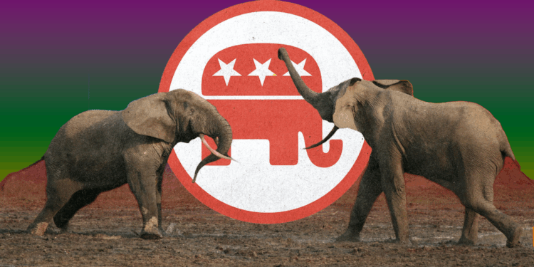 Gregory Lyakhov: Conservative Infighting Isn't a Crisis — For Now