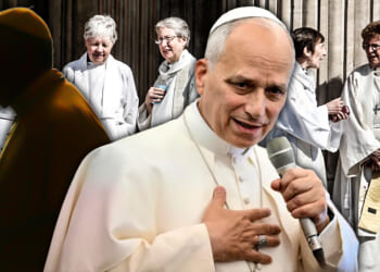 Inside Pope Leo XIV’s Strategy: Slowing the Revolution, Preserving the System