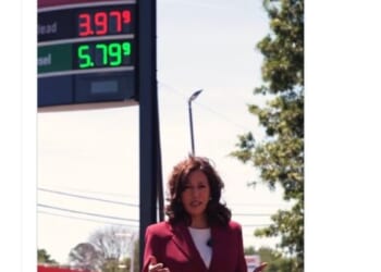 Kamala Harris Criticized for High Gas Prices by US Oil and Gas Association