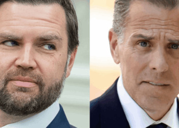 'Laptop from hell' prosecutor recruited for Vance's fraud task force