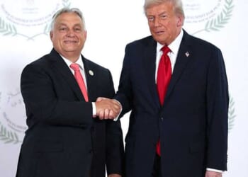 Liberals celebrate election results for Trump-endorsed 'fighter' Viktor Orbán: 'Hungary has chosen Europe'