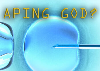 Made, Not Born? The Hidden Crisis Behind IVF