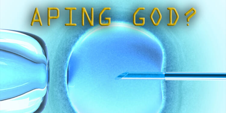 Made, Not Born? The Hidden Crisis Behind IVF