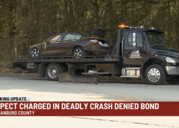 Media Ignore Illegal Alien Allegedly Killing 2 Boys With His Car