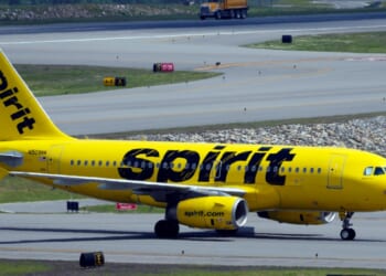 No ‘good way’ to save Spirit without the government: Tiana Lowe Doescher