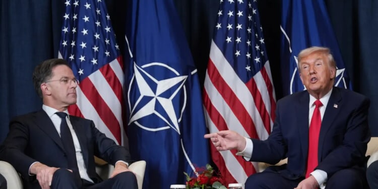 Reform, don't trash, NATO - Washington Examiner