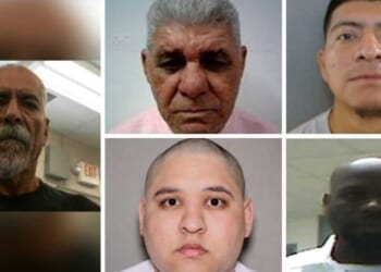 'Truly sick individuals': ICE arrests convicted murderer and sexual predators