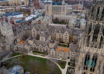 Universities cannot survive as left-wing echo chambers