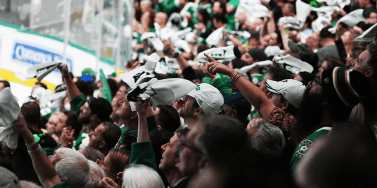 Video: Dallas Stars fans accused of performing 'Nazi salutes' as goal celebration