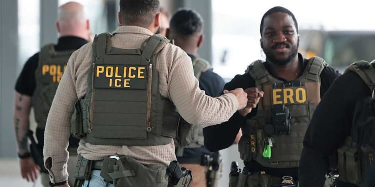 Why I support ICE as the son of an immigrant