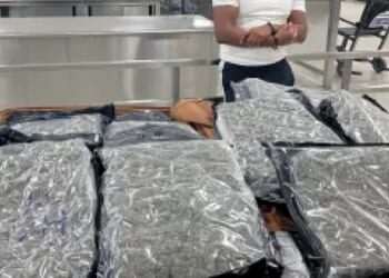 57 pounds of marijuana worth $220k found in suitcase at Dulles Airport