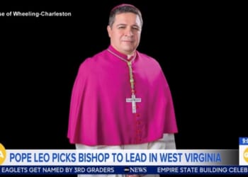 ABC, WashPost Hype Pope Appointing Trump Critic, Former Illegal Immigrant Bishop